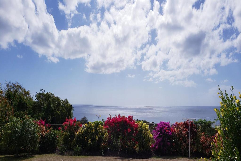 Ferienwohnung Spectacular Ocean View Retreat Saint James Exterior foto
