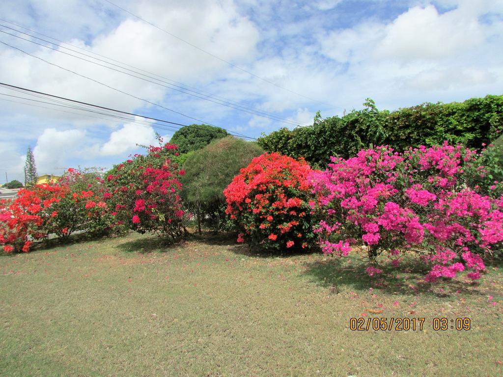 Ferienwohnung Spectacular Ocean View Retreat Saint James Exterior foto